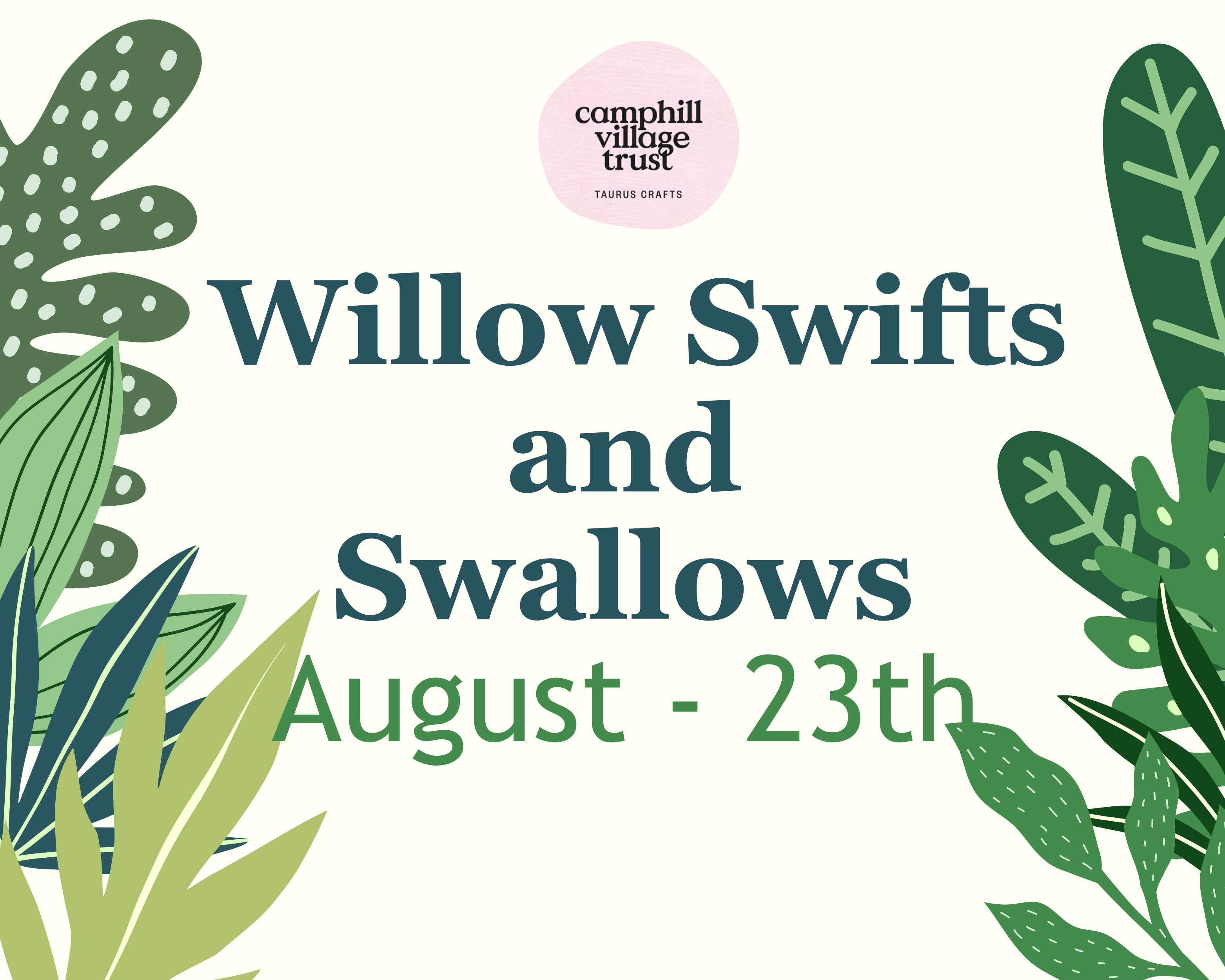 Willow Swift and Swallows Workshop