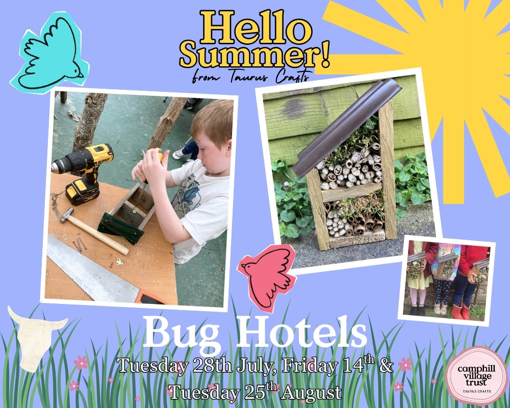 Bug Hotel - 26th July