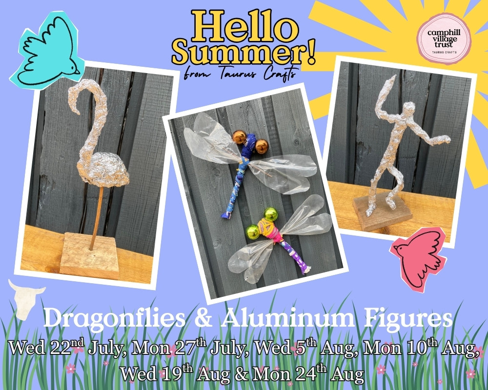 Dragonflies & Aluminum Sculptures - 5th August