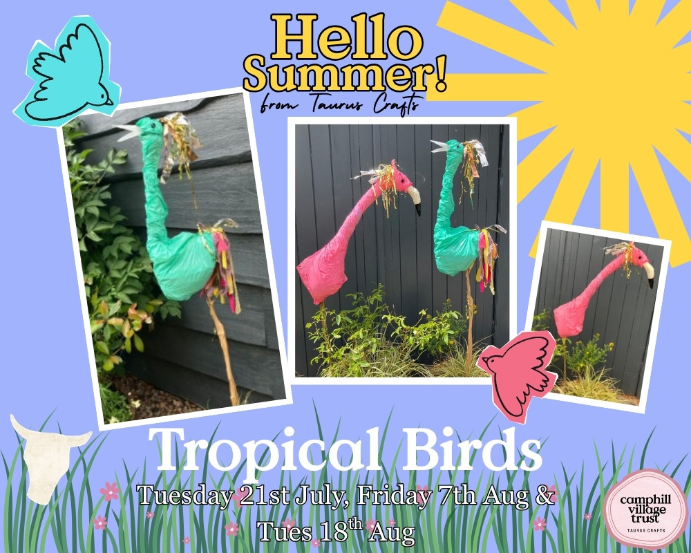 Tropical Birds - 7th August