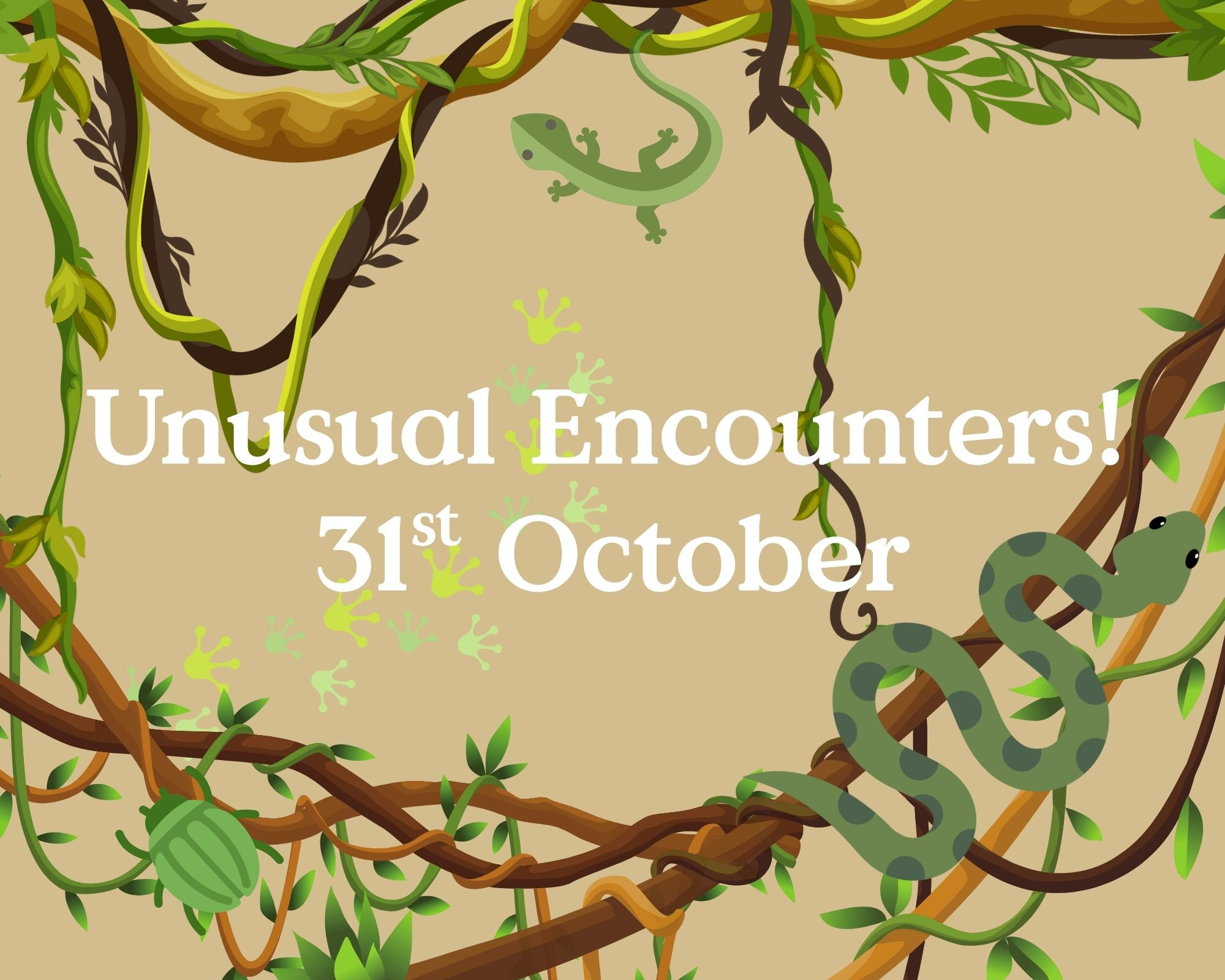 Reptile Show With Unusual Encounter's